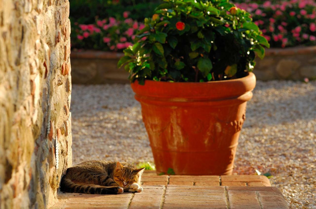 Relais Borgo Torale Otel Passignano sul Trasimeno Dış mekan fotoğraf